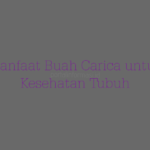 Manfaat Buah Carica untuk Kesehatan Tubuh
