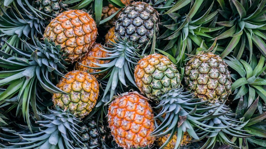 5 Manfaat Buah Nanas Bikin Tubuh Sehat dan Segar