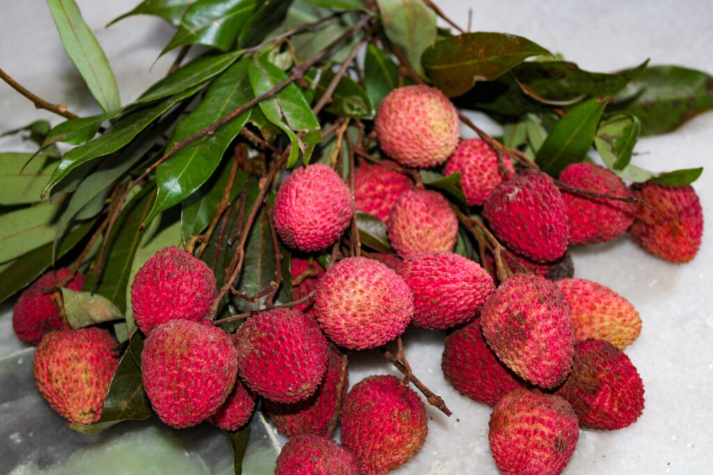 Manfaat Buah Leci