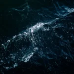 Misteri laut dalam dengan pemandangan kedalaman samudra yang gelap